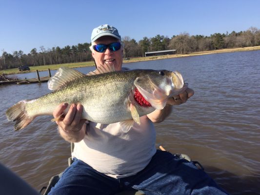 John's Big Fish